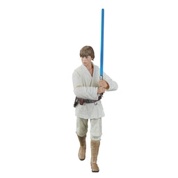 Luke Skywalker Star Wars A New Hope Black Series Action Figure