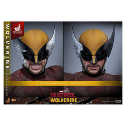 Wolverine Brown Suit Deadpool & Wolverine Movie Masterpiece 1/6 Scale Hot Toys